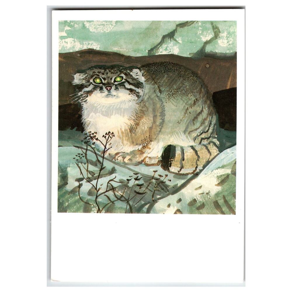 1990 Russian Manul Pallas's Cat Postcard V. A. Gorbatov Wildlife Art